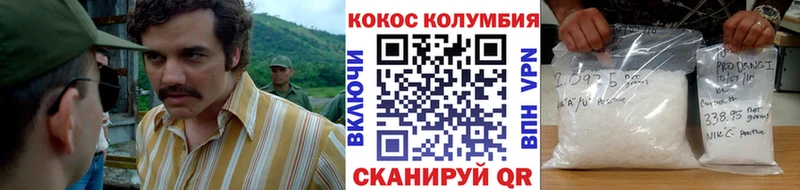 где купить   Северская  Cocaine 97% 