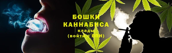 индика Магадан