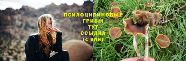 COCAINE Магас