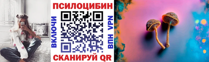 даркнет клад  Северская  Галлюциногенные грибы MAGIC MUSHROOMS 